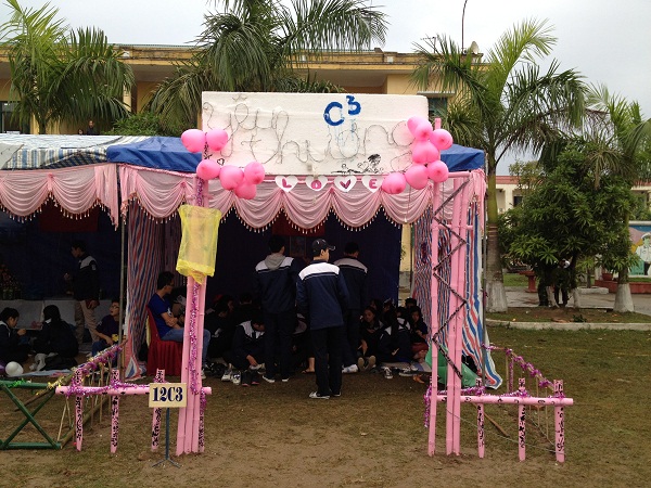 c31