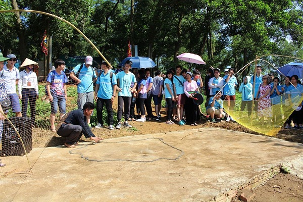 tn5 1