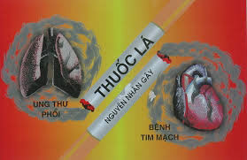 126652 khoi thuoc la