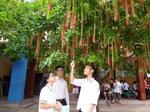 dsc008452