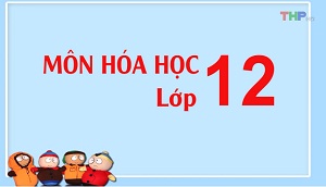 hoa1